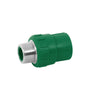 Conector de PPR, 1/2', 20mm, macho Foset 49879 CV-611