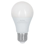 Lampara de LED, bulbo estandar, A19, 9 W, luz de dia Volteck 48052 LED-60FA